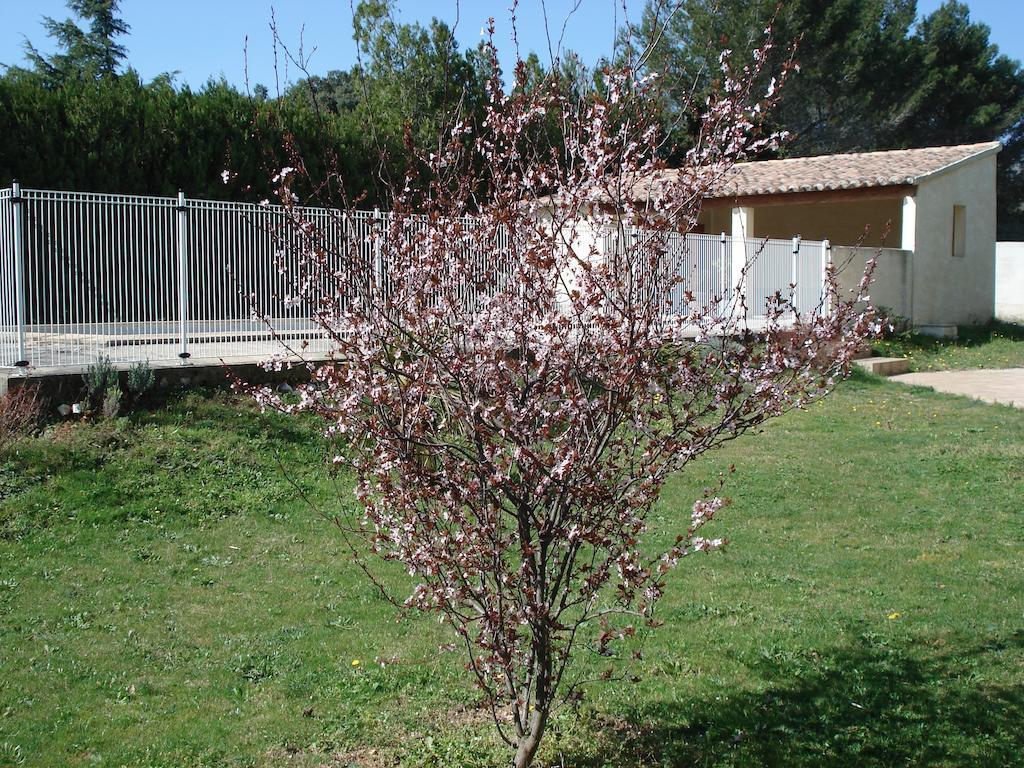 B&B L'Oustalet De Sylvie Villeneuve-lès-Avignon Exterior foto